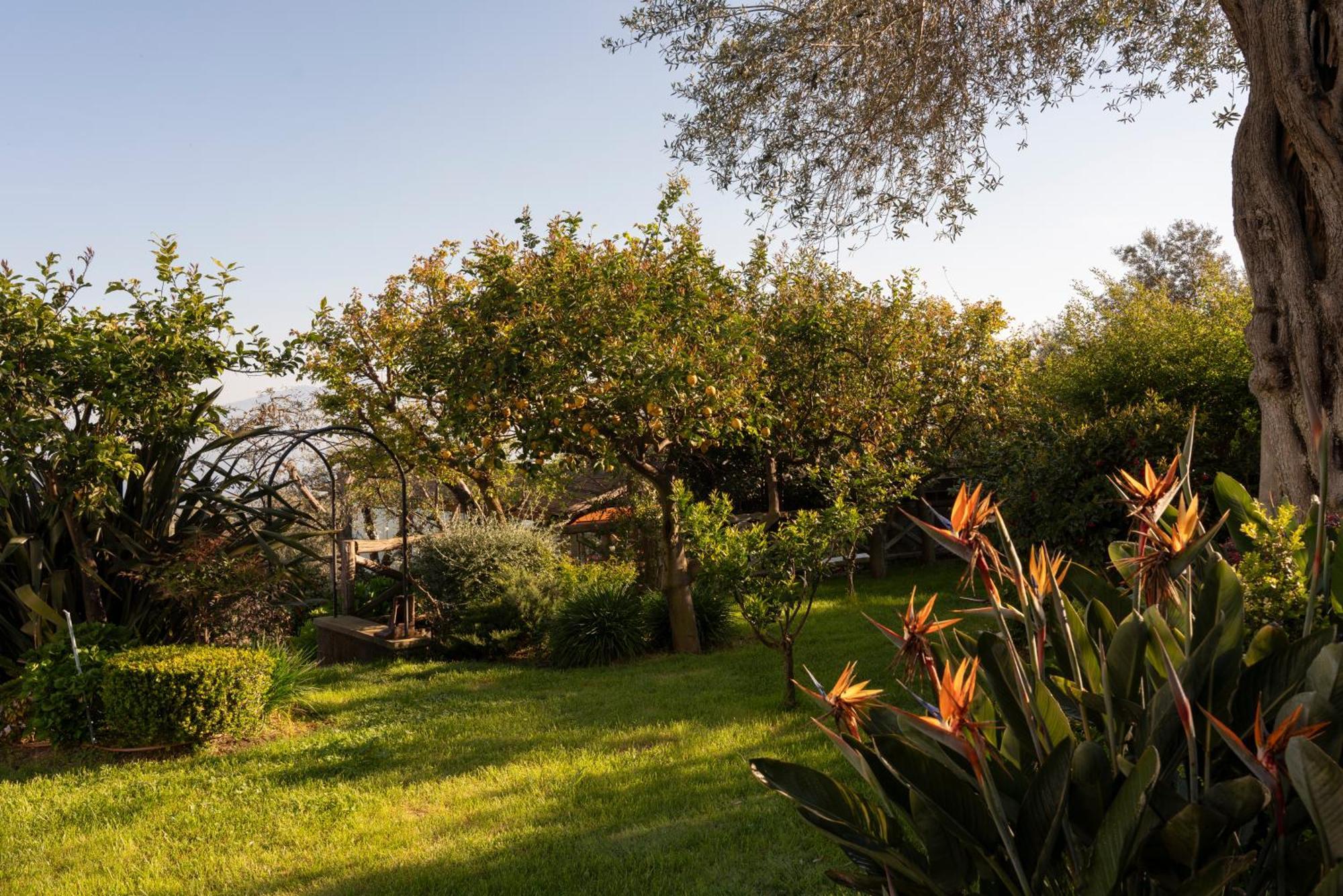 מלון סורנטו Relais Palazzo Del Barone (Adults Only) מראה חיצוני תמונה